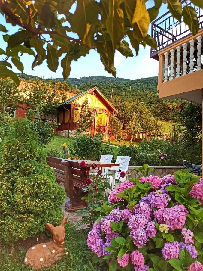 Apartment Lakeview Плужине Екстериор снимка